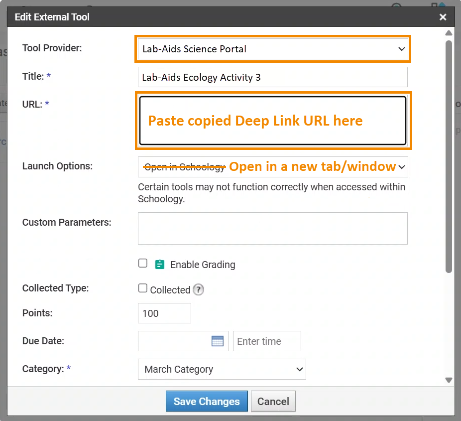 A screenshot of the external tool settings explained above. The selected Tool Provider is "Lab-Aids Science Portal" and an outline is around the "URL" text box with text "Paste copied Deep Link URL here". 