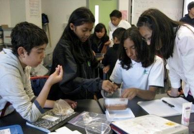 SEPUP students at UCLA Thumbnail