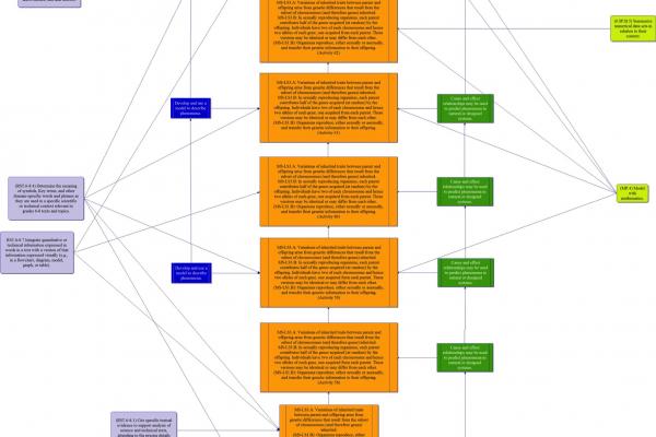 pathway example Thumbnail