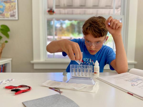 Chemical Batteries investigation at home Thumbnail