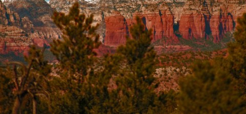 Arizona Banner Image